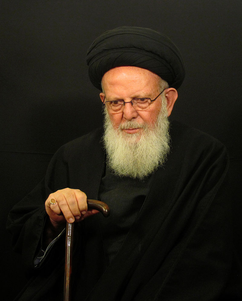 فتوای جدید آیت الله حاج سید محمد حسینی زنجانی